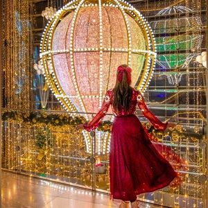 Halia Embellished Dress